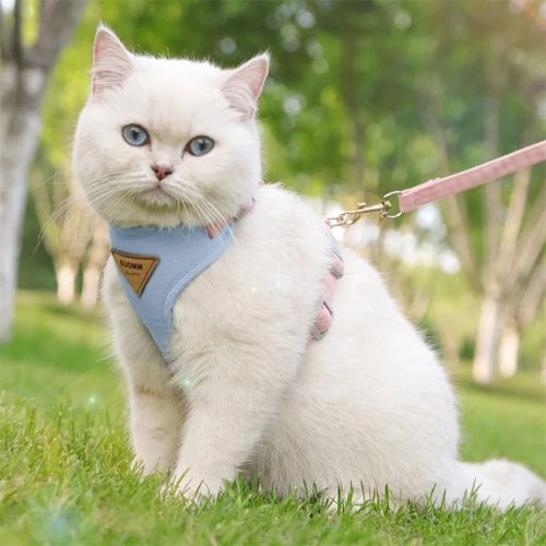 harnais pour chat | LIBERTÉ SÉCURISÉE - Happy minet