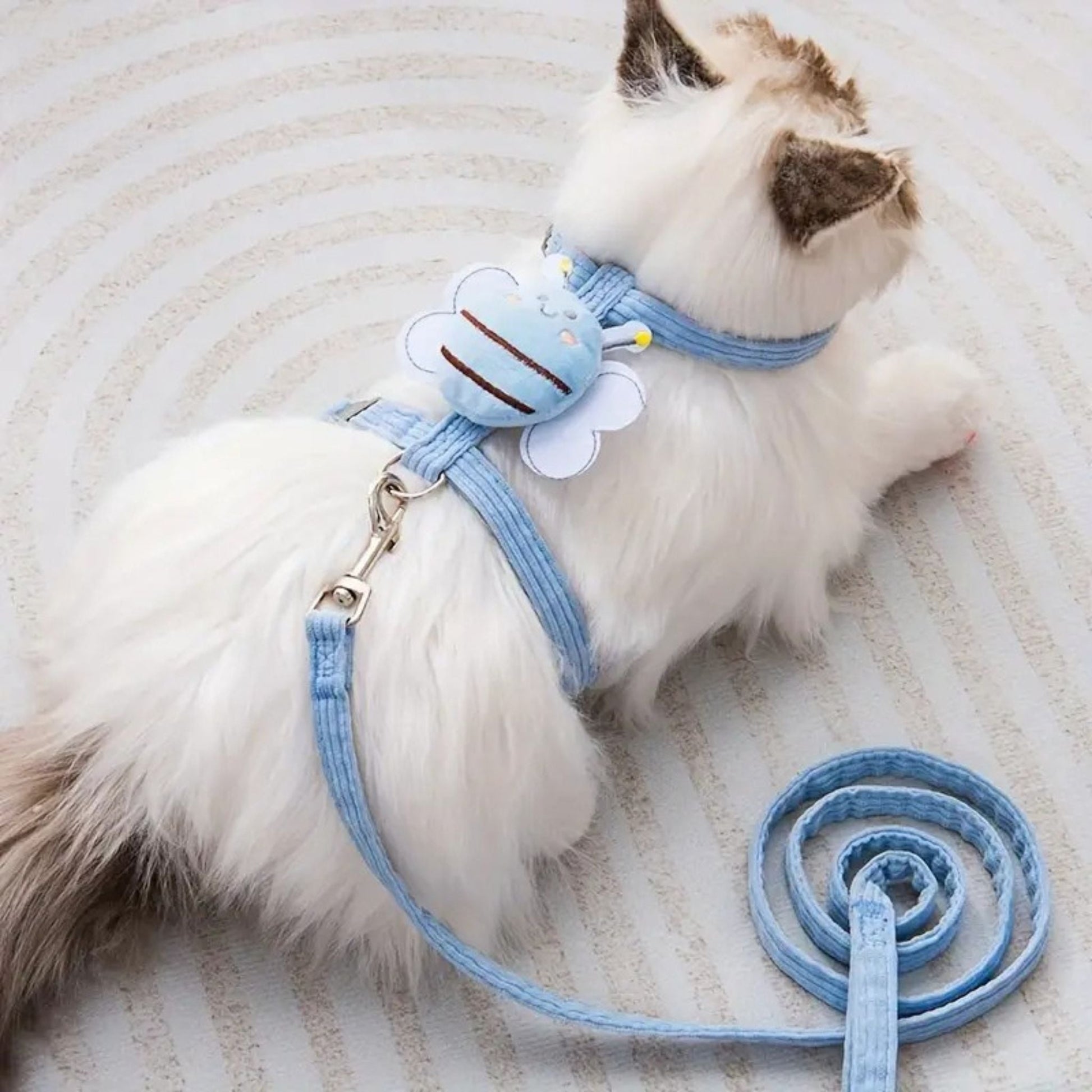 harnais-pour-chat-abeille-bleu