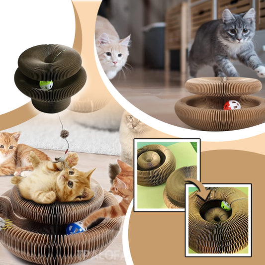 jouet-pour-chat-multipostions