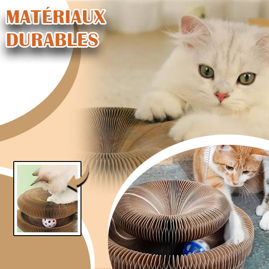 jouet-pour-chat-durable