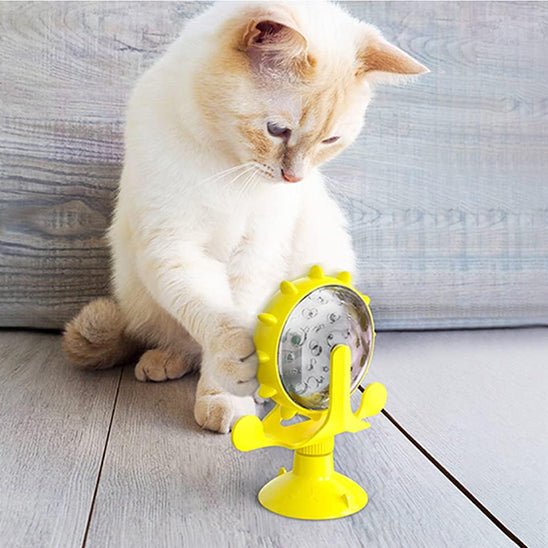 jeu-interactif-chat-joucroc-jaune