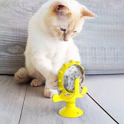 jeu-interactif-chat-joucroc-jaune