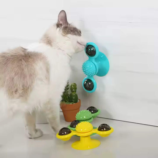 jeu-interactif-chat-tourniquet
