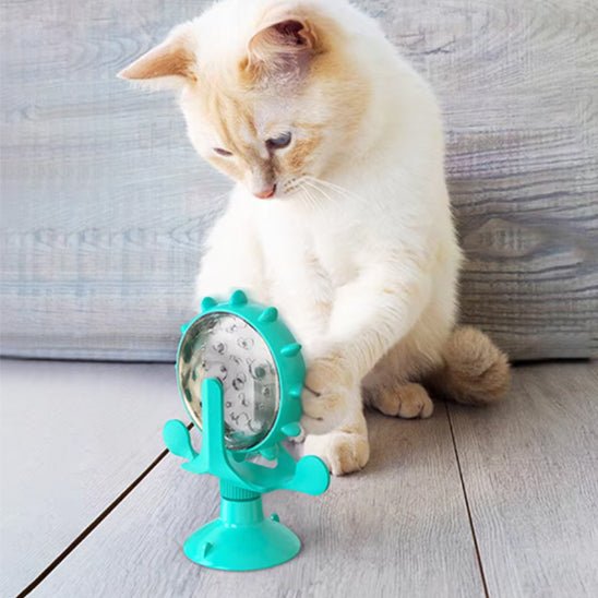jeu-interactif-chat