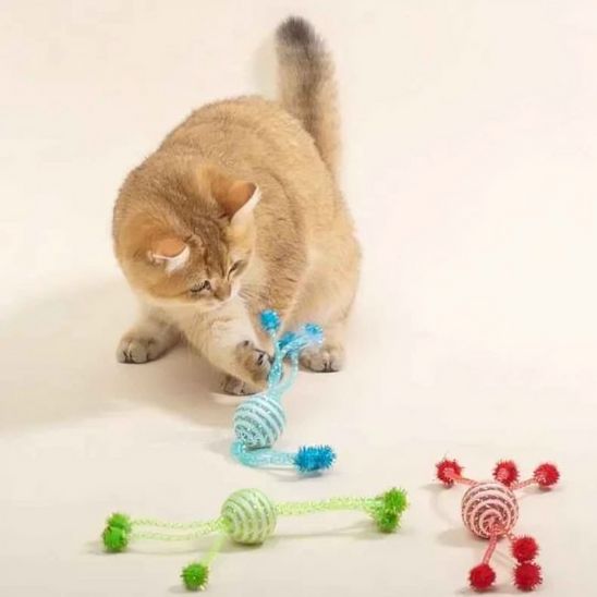 jeu-pour-chat-a-griffer