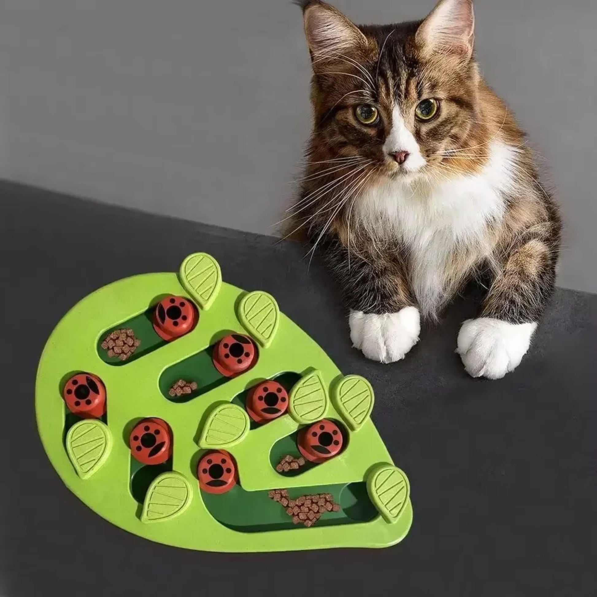 jeu-pour-chat-feuille