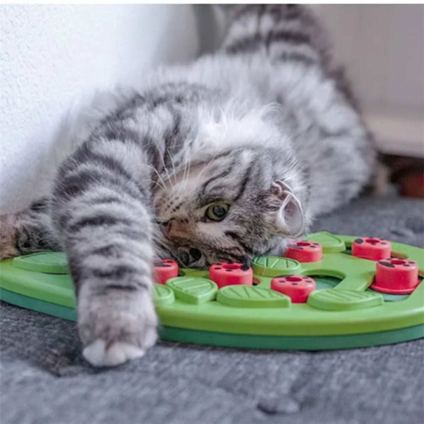 jeu-pour-chat-intelligent