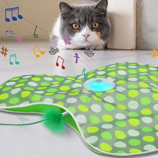 jeu-pour-chat-sonore