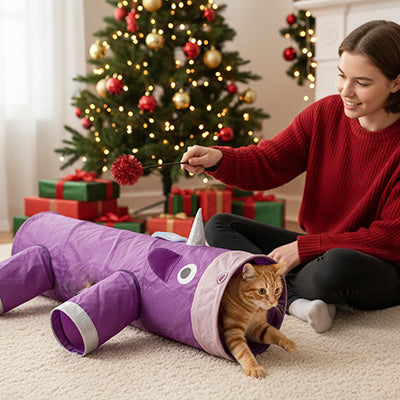 jeu-tunnel-chat-cadeau-unique