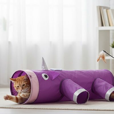 jeu-tunnel-chat-violet-multi-ouvertures