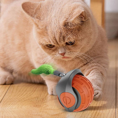 jouet chat  | La Boule Magique