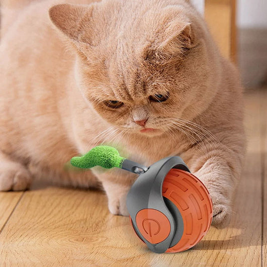 jouet chat  | La Boule Magique