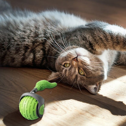 jouet chat  | La Boule Magique