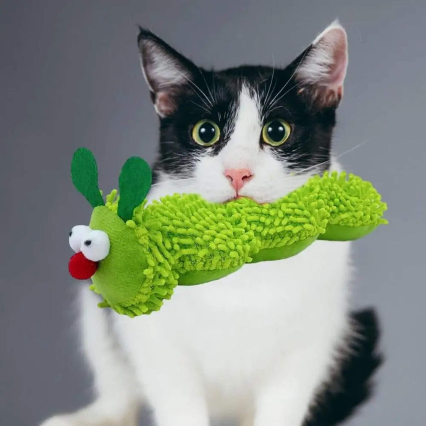 jouet-chat-chenille-a-mordre