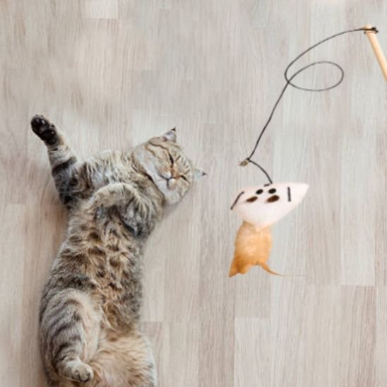 Jouet chat fascinant