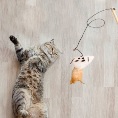 Jouet chat fascinant