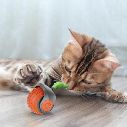 jouet chat  | La Boule Magique