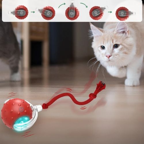 jouet-chat-interactif-activité