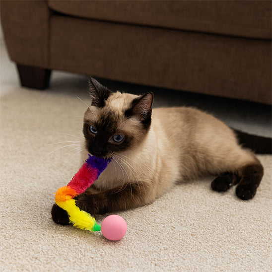 jouet-chat-interactif-balle