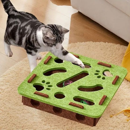 Jouet  chat interactif  | Cache-Cache Furtif