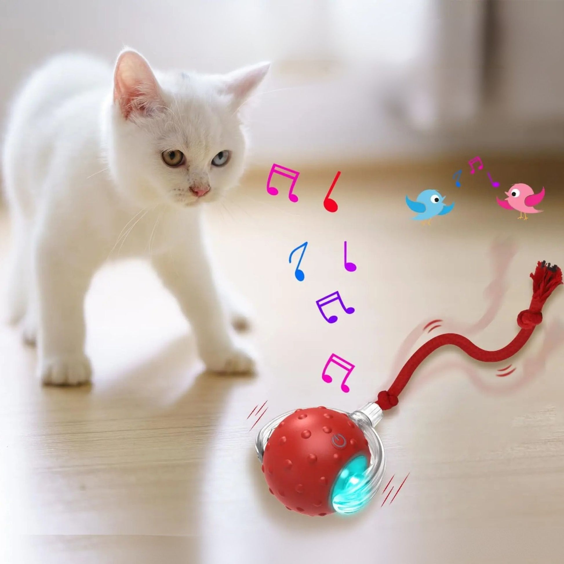 jouet-chat-interactif-chant-oiseau