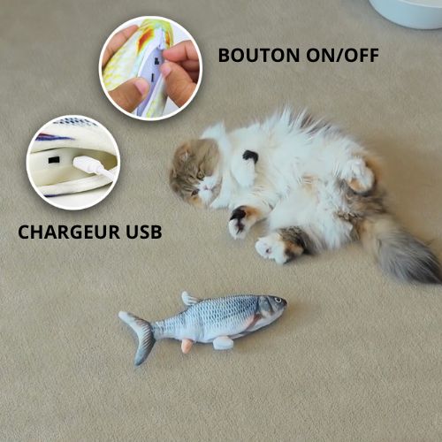 jouet-chat-interactif-chargeur