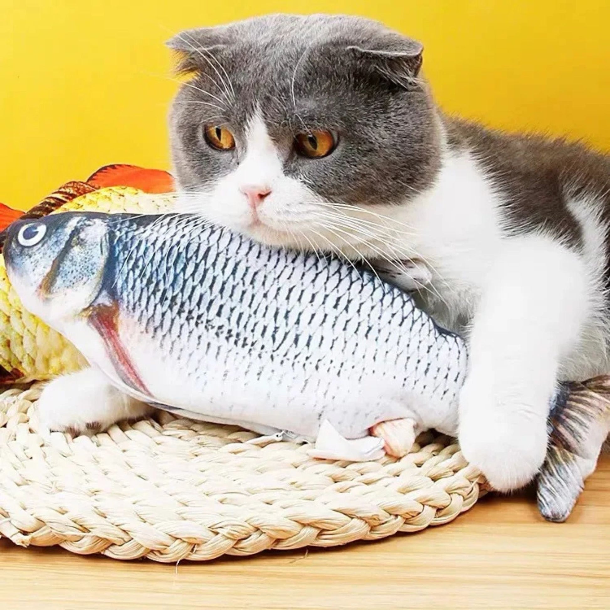 jouet-chat-interactif-chasse-poisson