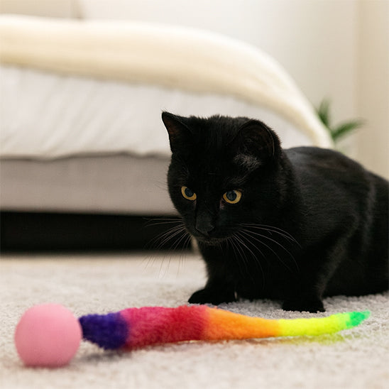 jouet-chat-interactif-chenille