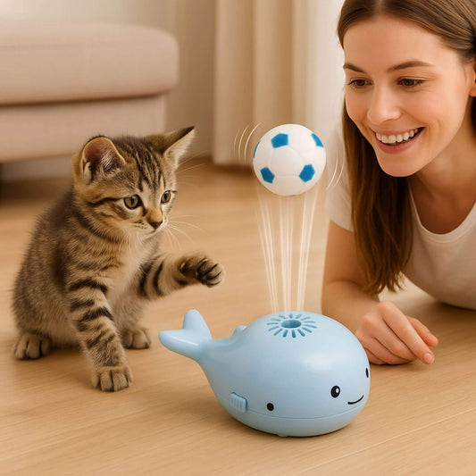 jouet-chat-interactif-complicité-garantie
