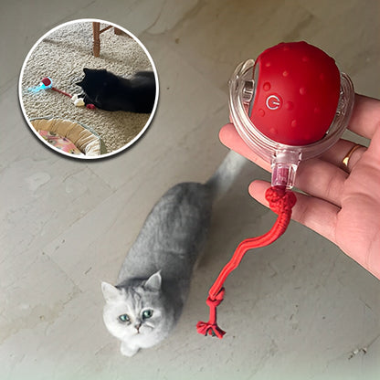 jouet-chat-interactif-durable