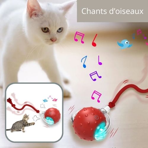 jouet-chat-interactif-mélodie