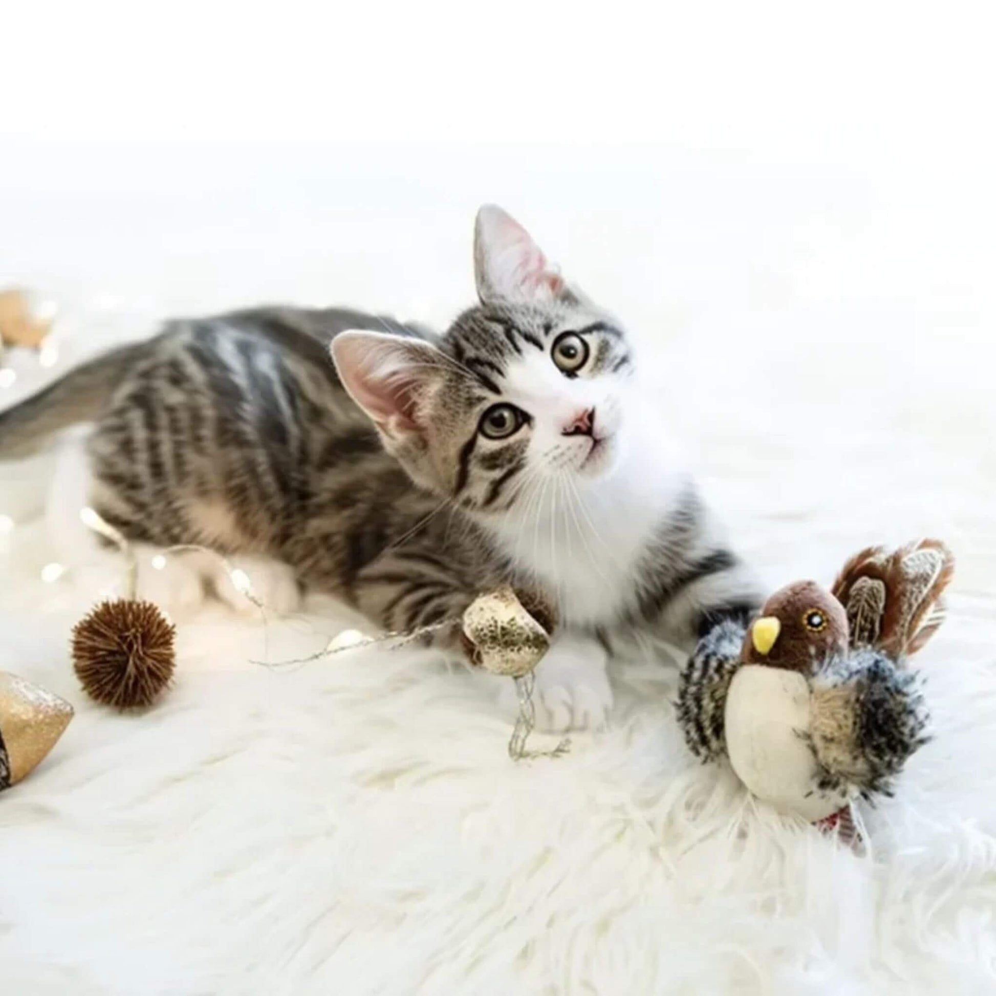 jouet-chat-interactif-moineau