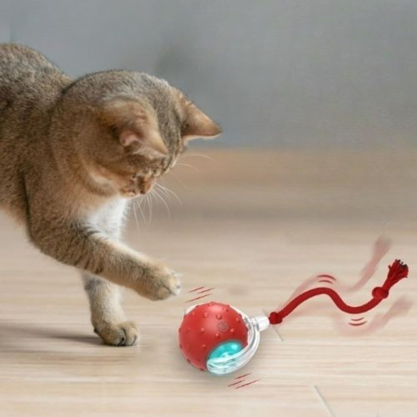 jouet-chat-interactif-speedy-ball