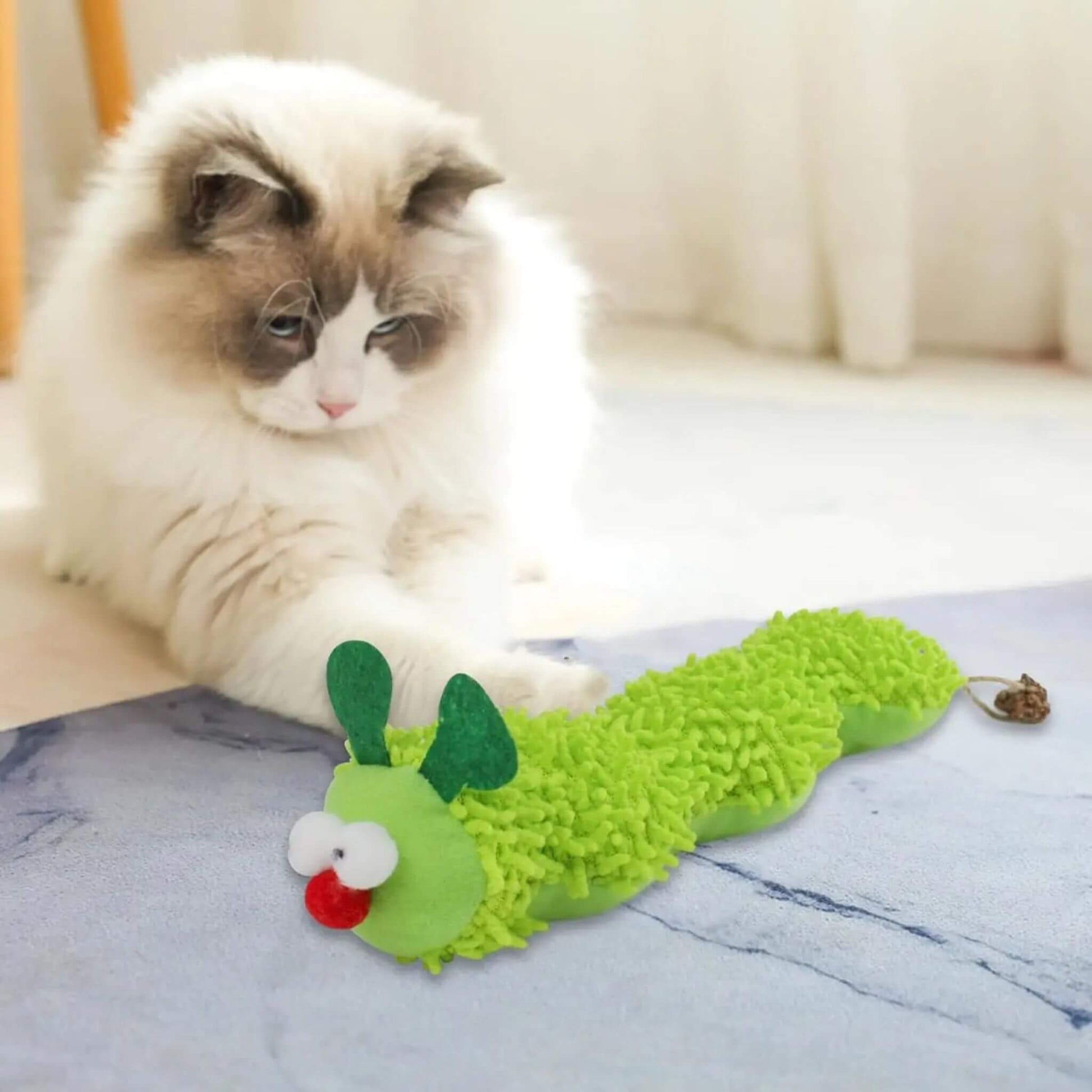 jouet-chat-irrésistible