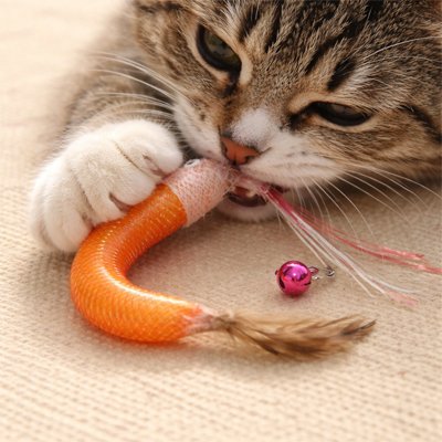 Jouet chat orange