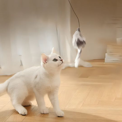 jouet-chat-unique