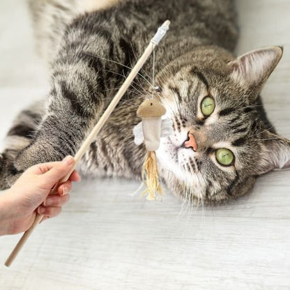 Jouet chat unique