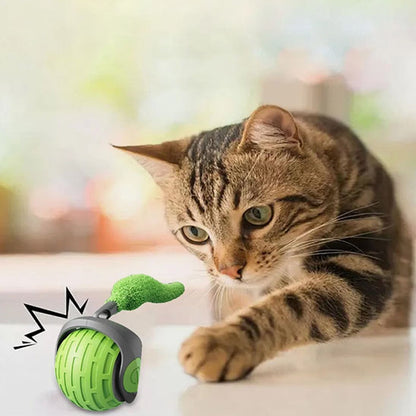 jouet chat  | La Boule Magique
