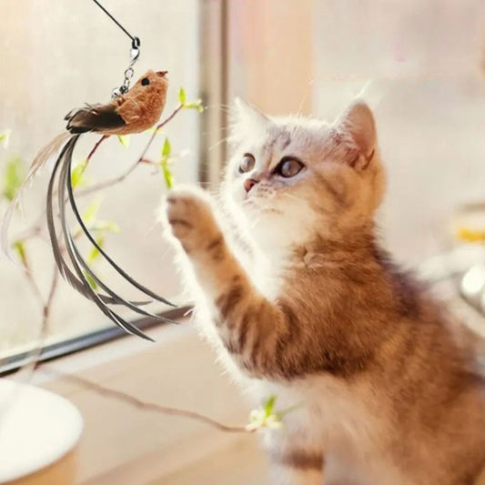jouet-interactif-chat-chasse-oiseau