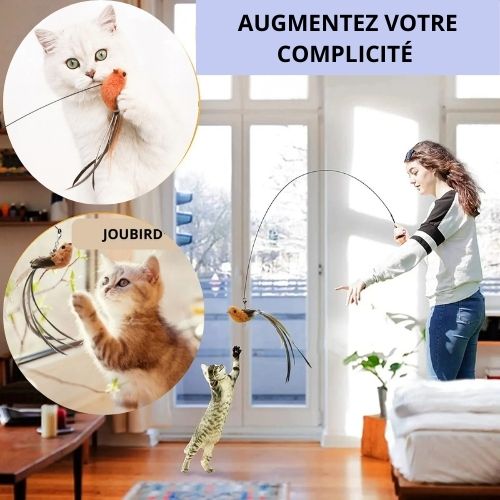 jouet-interactif-chat-complicité