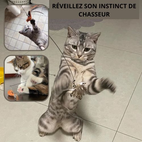 jouet-interactif-chat-instinct-chasseur