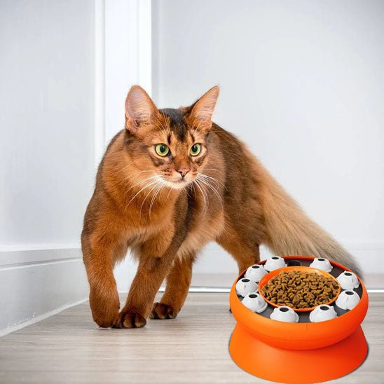 jouet-interactif-chat-puzzlebowl-ludique
