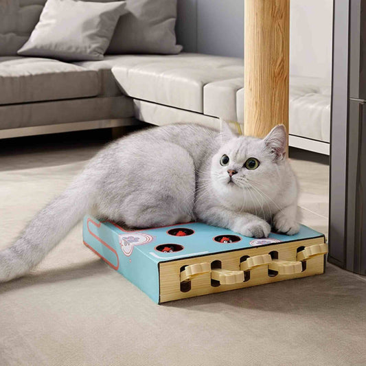 jouet-interactif-pour-chat-original
