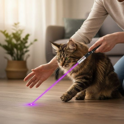 jouet laser chat stimulant violet