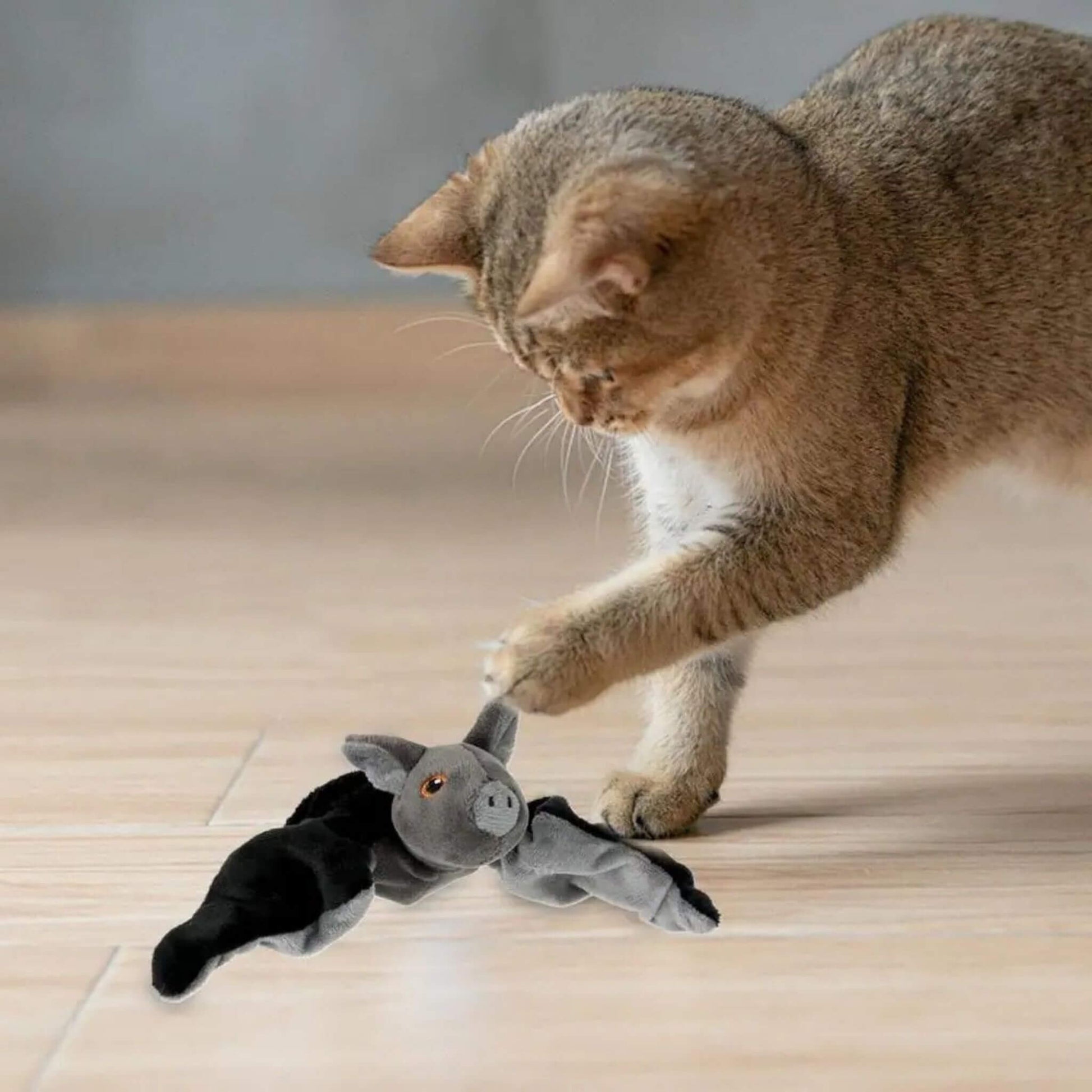 jouet-oiseau-pour-chat-amusant-interactif