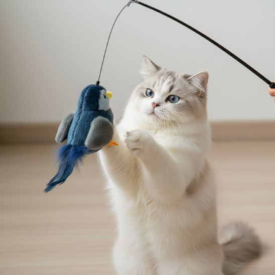 jouet-oiseau-pour-chat-chasse-idéale