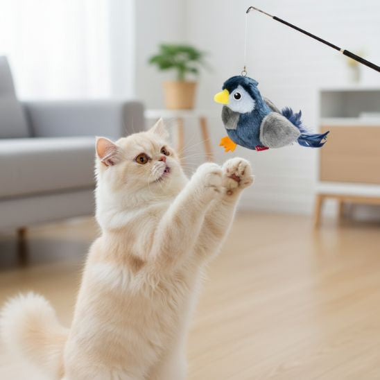 jouet-oiseau-pour-chat-exercice