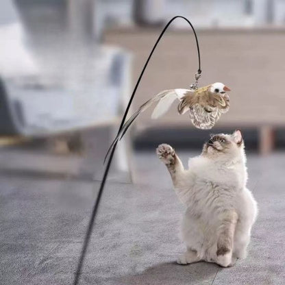 jouet-oiseau-pour-chat-idéal