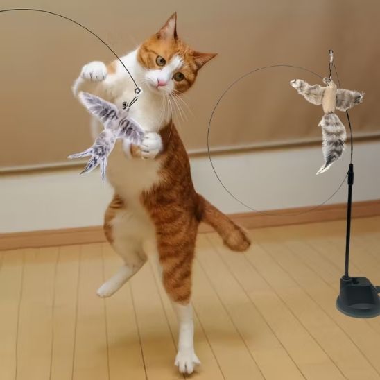 jouet-oiseau-pour-chat-oiseau-écru-gris