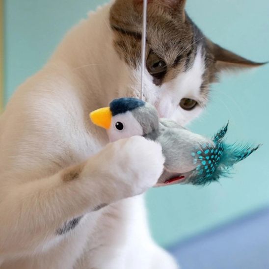 jouet-oiseau-pour-chat-suspendu
